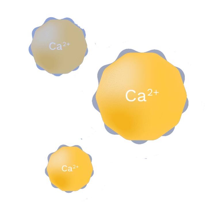 Neurodon – Targeting cellular stress